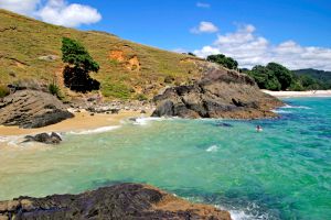 07Jun2015060619Coromandel Beach at Otama 306.jpg